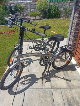 CROSS FLEX 1.0 - 7