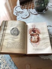 predám knihu Dr.MedJenny Springer roku 1930 - 7