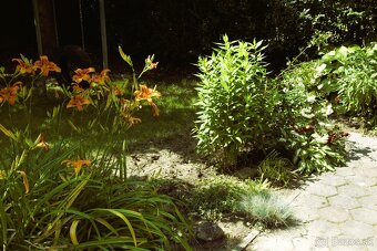 8 árový pozemok s chatou. - 7