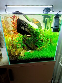 Akvarium optiwhite blau cube 45x45x45cm - 7