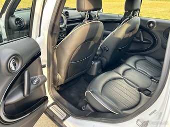 Mini SD Countryman 2.0d - 7