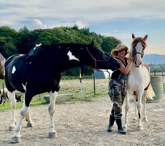 Kobylka do Rodiny hledá super Parťáka - 7