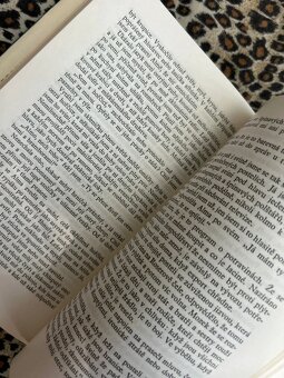 Let do srdce - Günter Herburger rok 1982 - 7