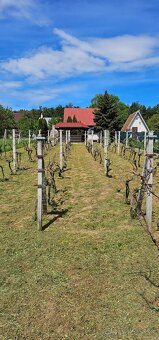 Rekreačná záhradná chatka, Kočín - 7