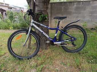 Bike Kenzel - 7