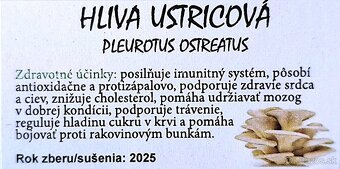 SUŠENÉ HUBY/HRÍBY - hliva, korálovec, dubáky, osičník - 7