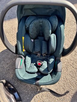 Egg 2 Babystyle sherwood - 7