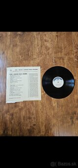LP platne - 7