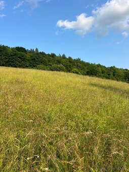 Predám pozemok 8 100 m² – Horná Mičiná - 7