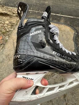 Korcule Bauer Supreme Mach - 7