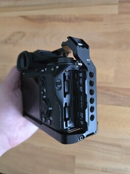 Sony a7 RIII + PeakDesign Slide - 7