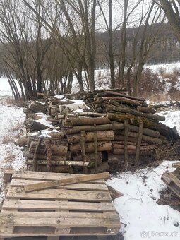 Oplotenie drevo kameň - 7