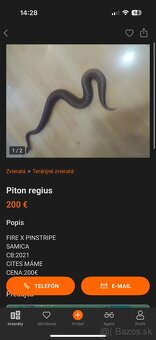 Pozor Figyelem‼️ - 7