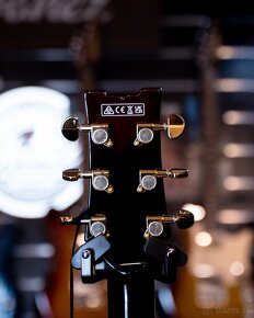 Ibanez AM153QA - 7