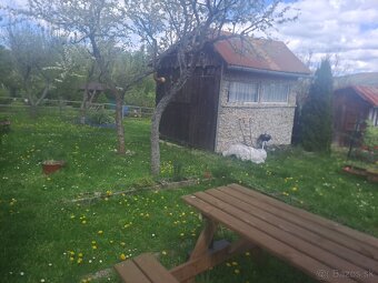 Záhradná chatka so záhradkou Nová Dubnica 200 m2 - 7