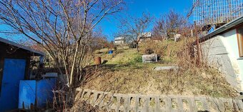 Záhrada s chatkou - 7