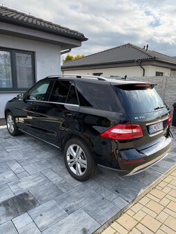 Mercedes-Benz ML 350 BLUETEC 4MATIC - 7