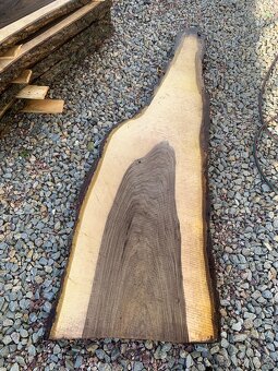 Orechove forsne z krásnou kresbou - 7