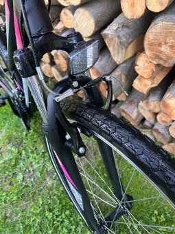Bicykel CTM MAXIMA 1.0, 19’’ - 7