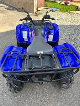 Yamaha grizzly 700 - 7
