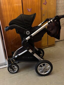 Kocik Coletto Giovanni - 7