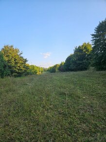 ustajnenie koni, vychadzky vodenie pre deti - 7