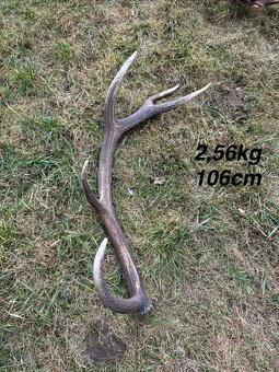 Parohy,parožie,zhody - 7