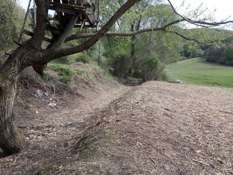 Rizikové pílenie stromov - 7