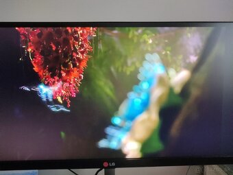 Predam monitor 29 "LG 29UB65 ultrawide - 7