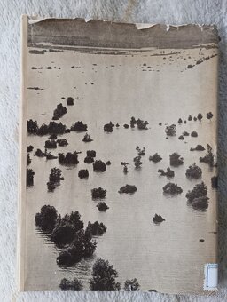 Povodeň na Dunaji v roku 1965 - 7