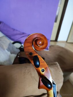 Viola 40.5 - 7