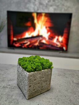 Prenajom Novostaby | Kosice City Centre Rental Apartments - 7