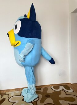 Maskot/kostým pes Bluey - 7