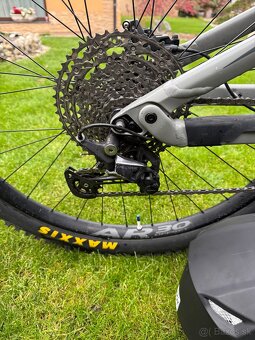 Canyon neuron 5 AL M - 7