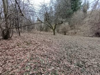 Záhradný pozemok Na Vinbargu - 7