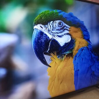 Samsung smart 4K led lcd tv 49(123) - 7