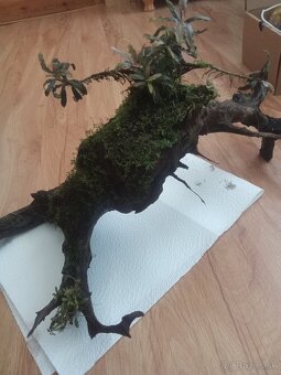 Ruším akvárium - 7