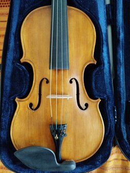 Viola - 7