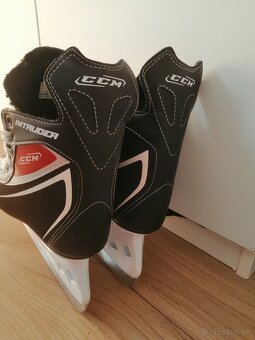 CCM - 7