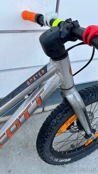 Scott Roxter 20” - 7