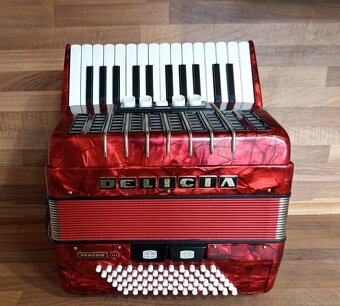 Akordeon, harmonika, heligonka - 7