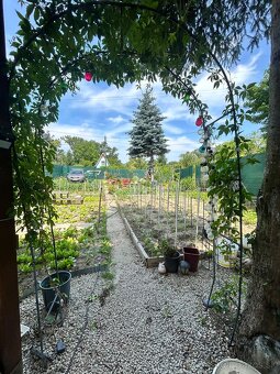Predaj chaty so záhradou v Šintave – 450 m² oddychu a pohody - 7