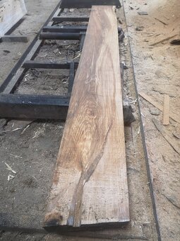 Kmeňova pásová pila - 7