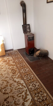 Novinka- chalupa Hostie - 7