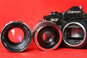 Canon EF & FL 50 mm 1:1.4 + TELEKONVERTER 2X - 7
