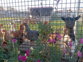 Bývajte v kľude a súkromí - 7