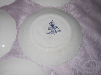 Anglicky porcelan-taniere - 7