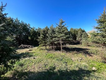 Na predaj | Stavebný pozemok 1398 m² - Topoľnica - 7