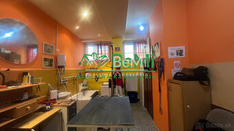 Odstúpenie - salónik - strihanie psíkov Sásová,Banská Bystri - 7