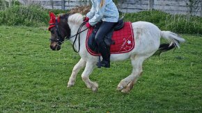 Spoľahlivá športová pony S pre najmenšie deti - 7